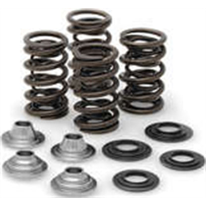 KPMI Racing Valve Spring Kit [MPN: 40-40660]_296944
