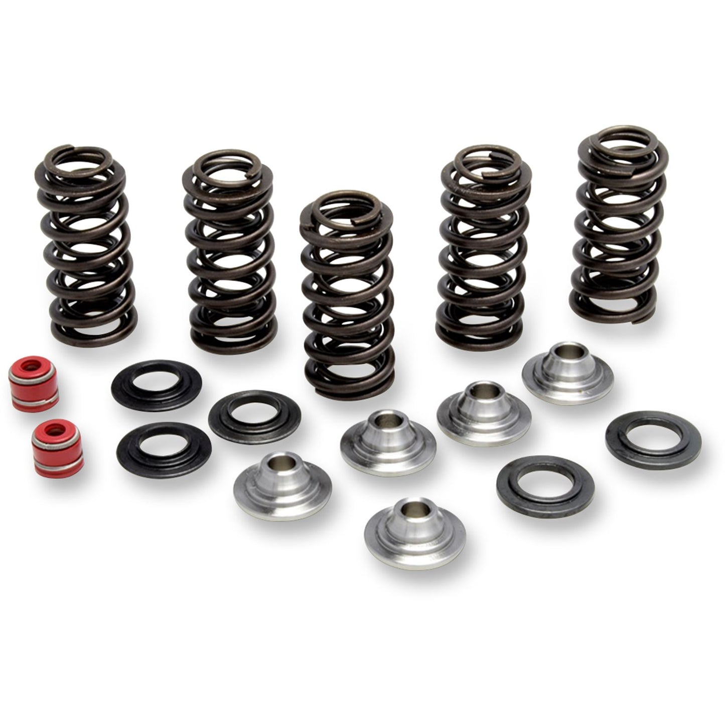 KPMI Racing Valve Spring Kit [MPN: 80-80066]_406789