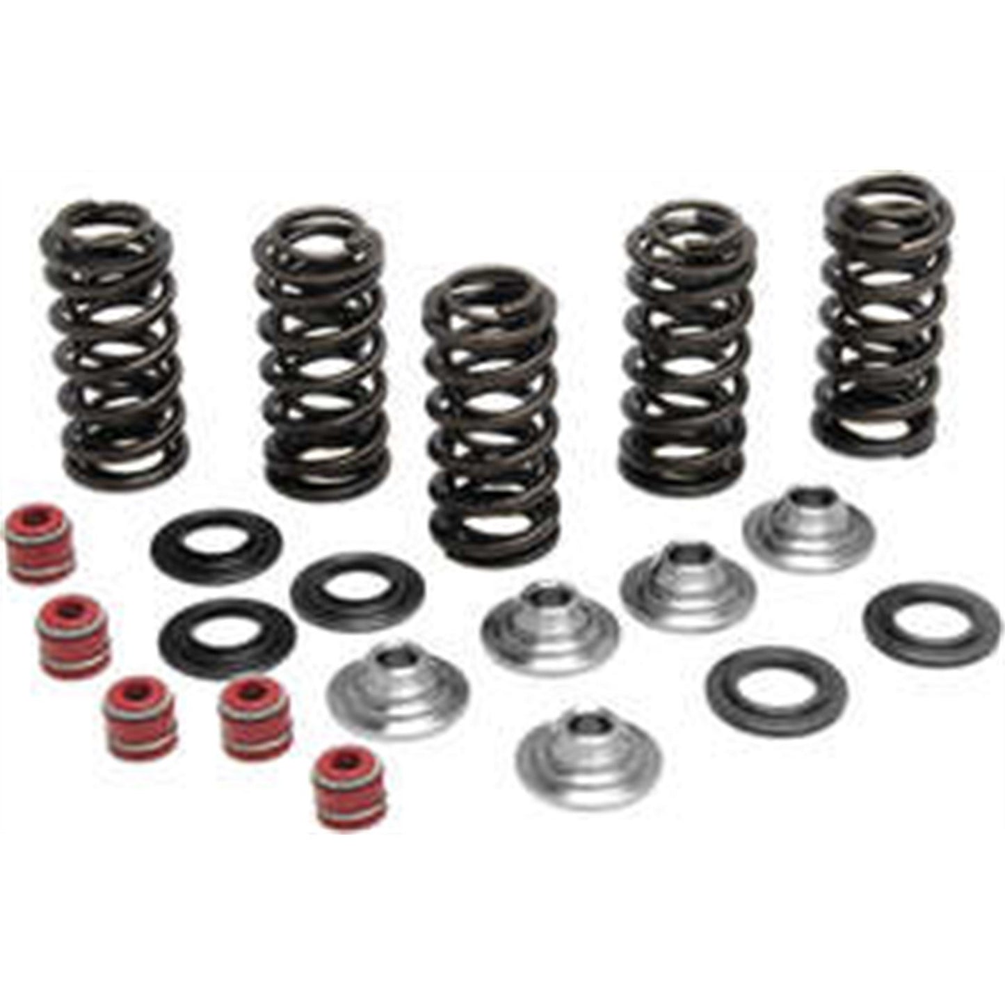 KPMI Racing Valve Spring Kit [MPN: 80-80066]_296953