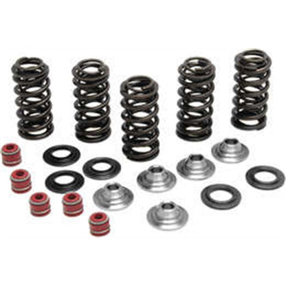 KPMI Racing Valve Spring Kit [MPN: 80-80066]_296953