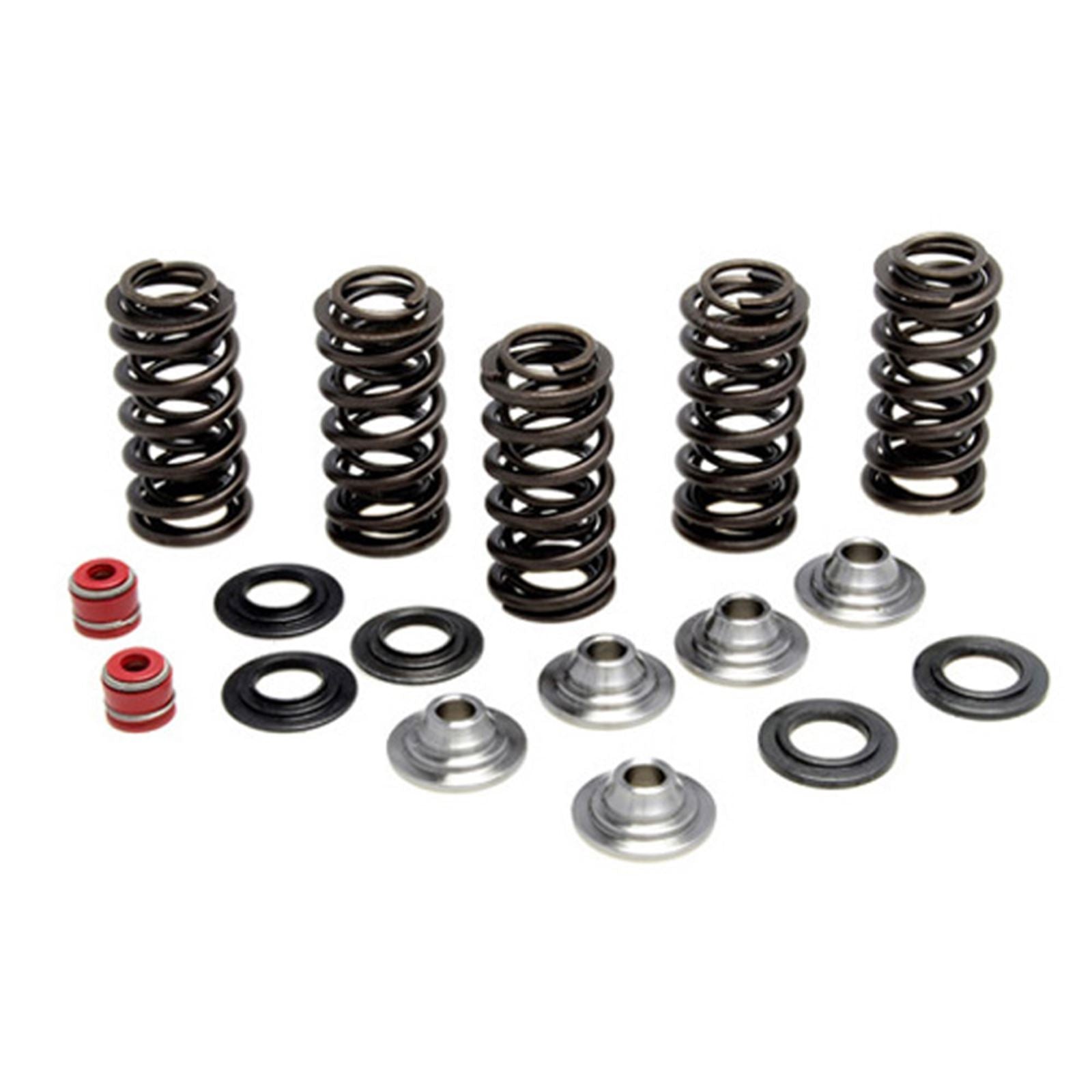 KPMI Racing Valve Spring Kit [MPN: 80-80066]_601600