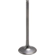KPMI Intake Titanium Valve [MPN: 30-31162T]_407280
