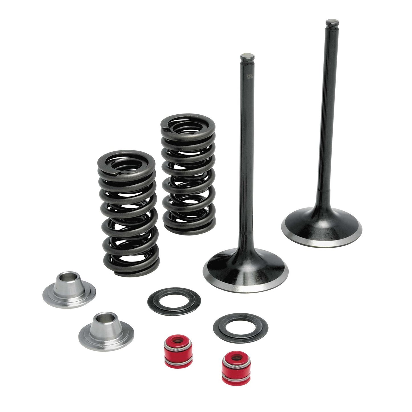 KPMI Intake Valve Spring Kit [MPN: 30-31200]_297046