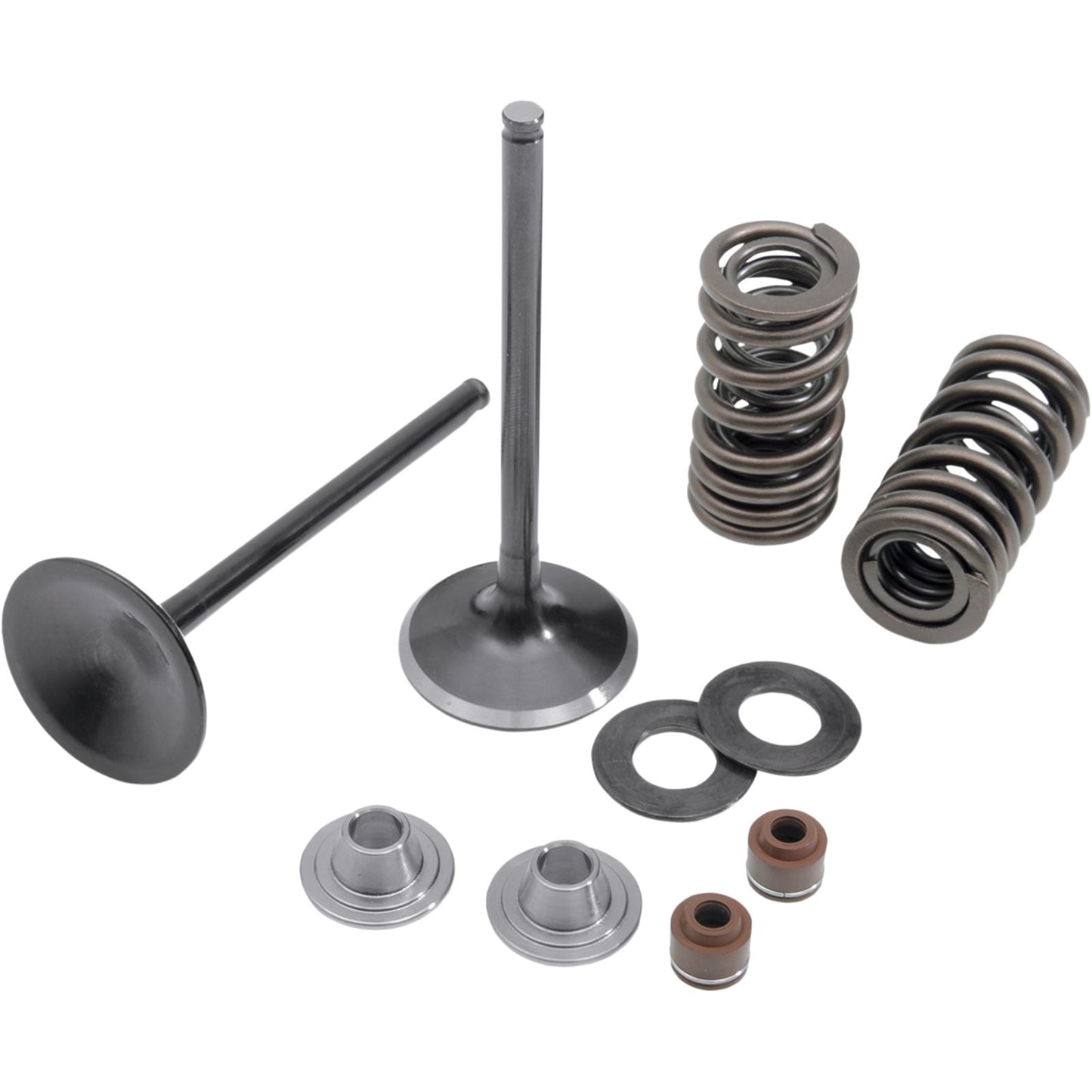 KPMI Intake Valve Spring Kit [MPN: 30-31200]_406900