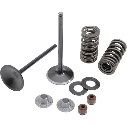 KPMI Intake Valve Spring Kit [MPN: 30-31200]_406900