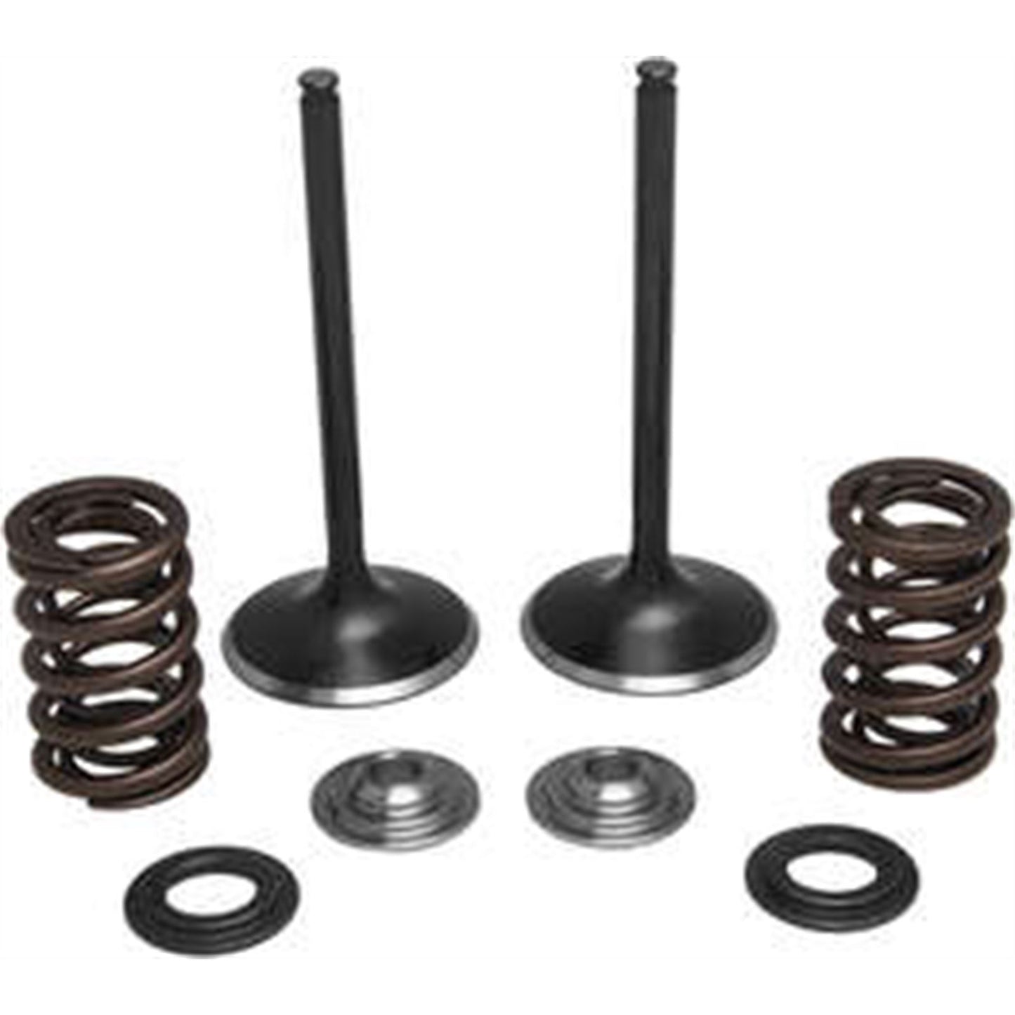 KPMI Intake Valve Spring Kit [MPN: 30-31210]_297051