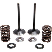 KPMI Intake Valve Spring Kit [MPN: 30-31230]_407387