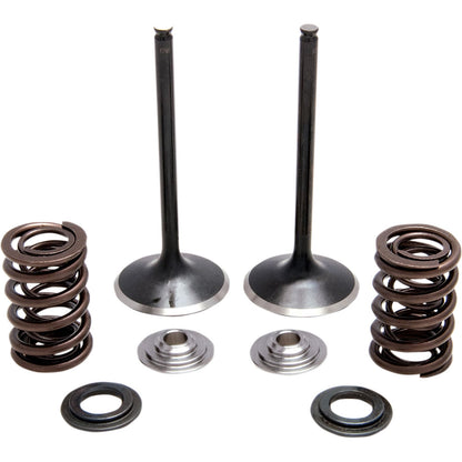 KPMI Intake Valve Spring Kit [MPN: 30-31230]_407387