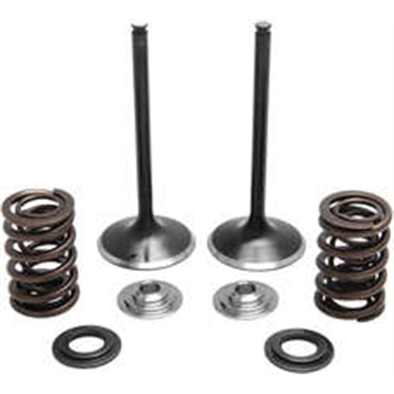 KPMI Intake Valve Spring Kit [MPN: 30-31230]_297055