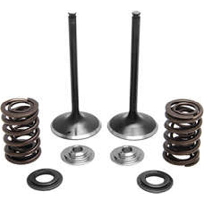 KPMI Intake Valve Spring Kit [MPN: 30-31230]_297055