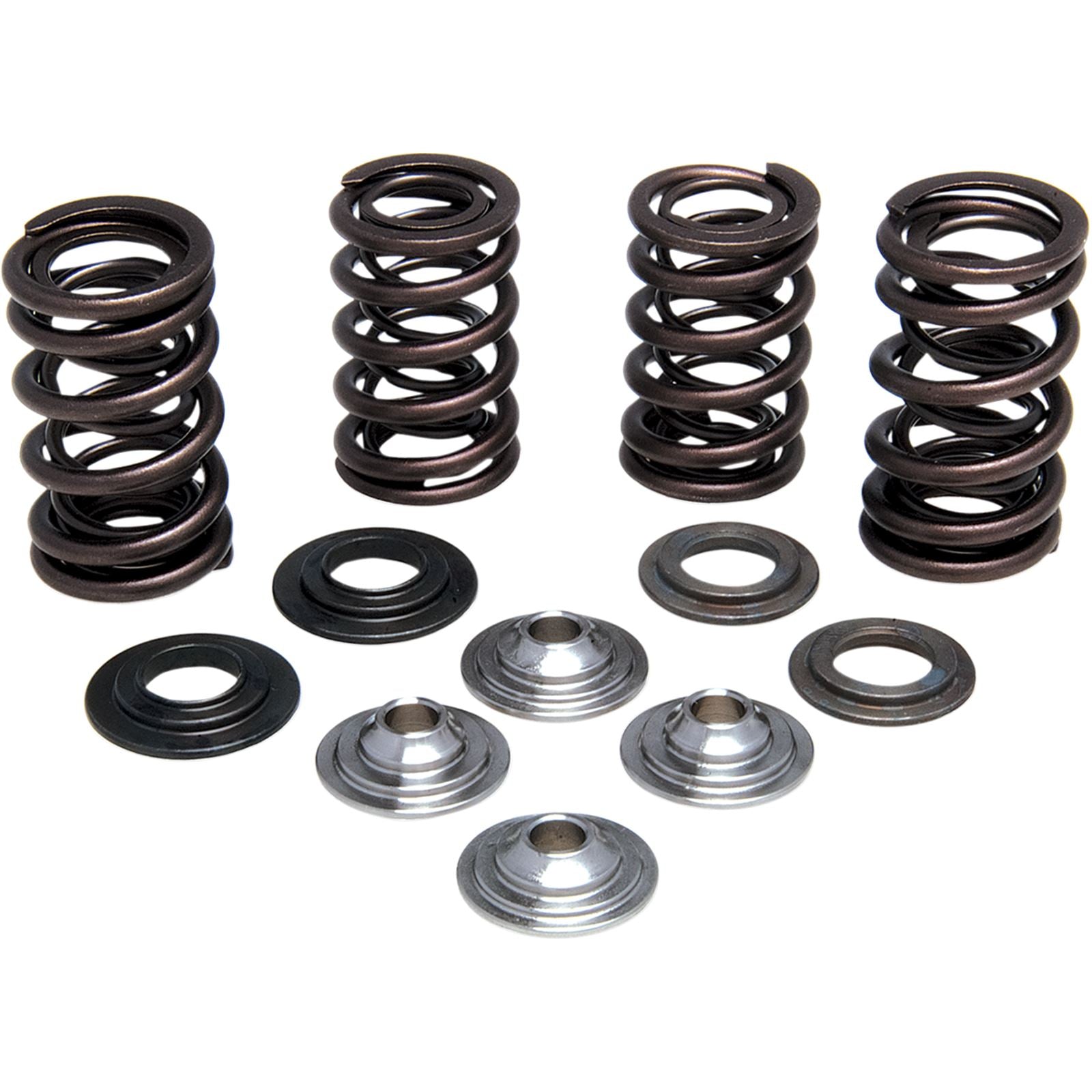 KPMI Intake Valve Spring Kit [MPN: 30-31580]_407275
