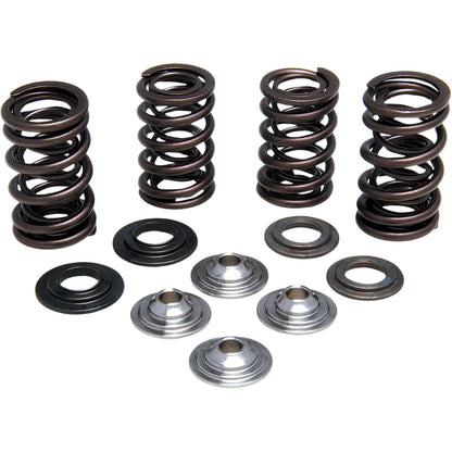KPMI Intake Valve Spring Kit [MPN: 30-31580]_407275