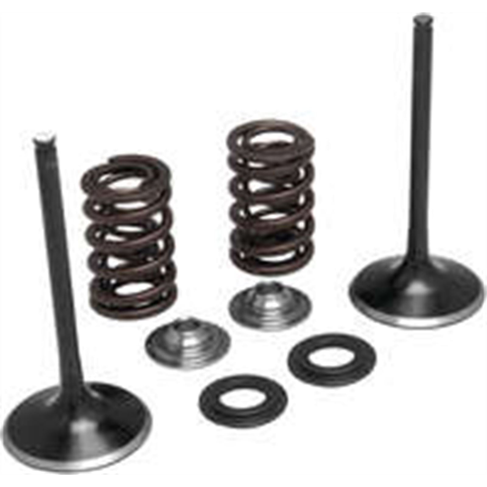 KPMI Intake Valve Spring Kit [MPN: 30-31580]_297057