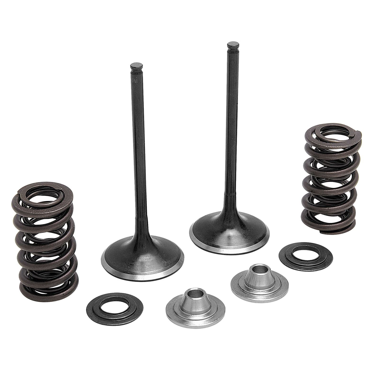 KPMI Intake Valve Spring Kit [MPN: 40-40350]_297058