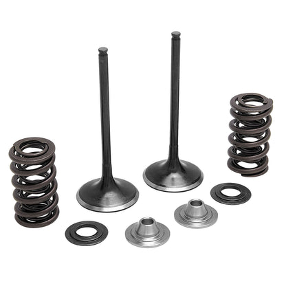 KPMI Intake Valve Spring Kit [MPN: 40-40350]_297058