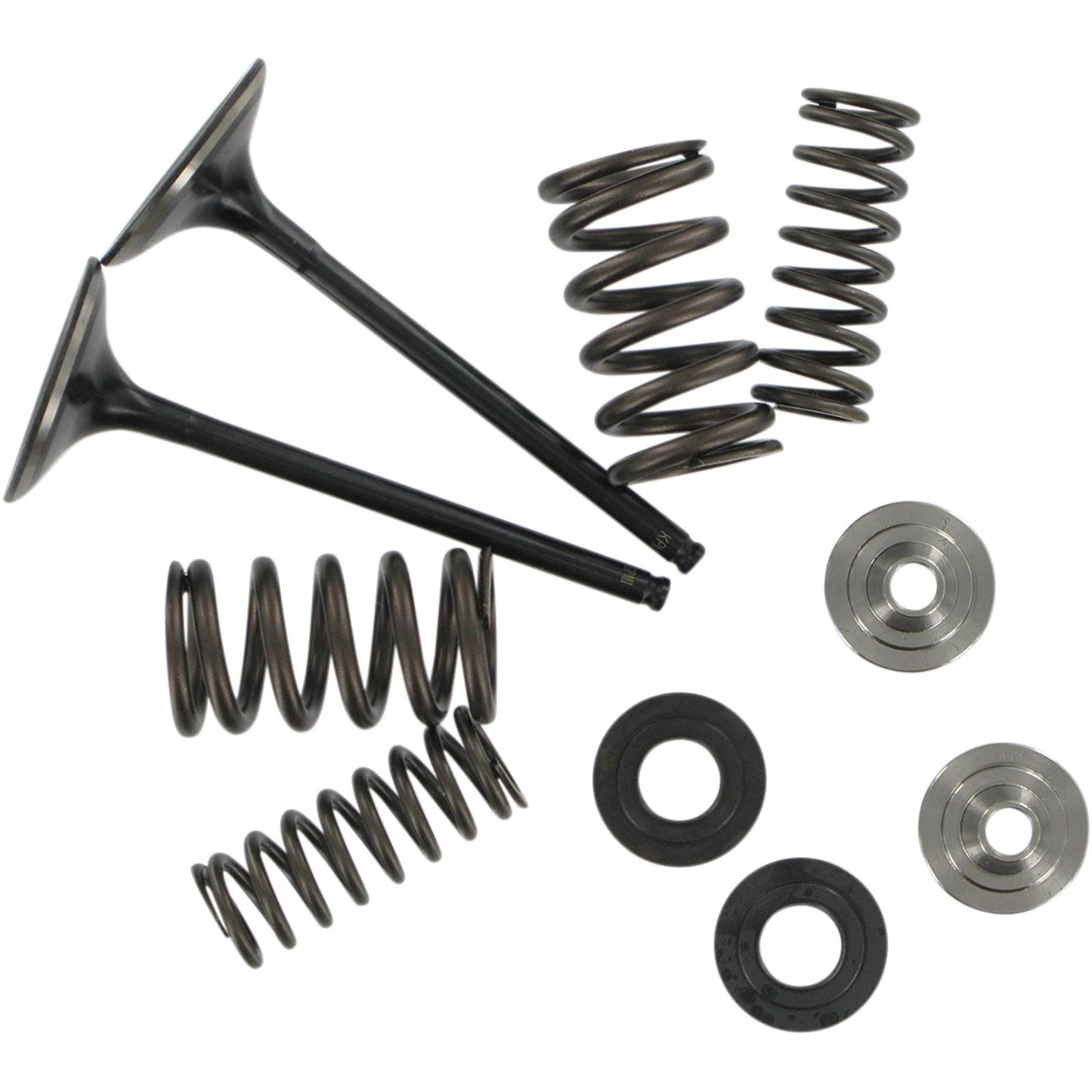 KPMI Intake Valve Spring Kit [MPN: 40-40350]_406904