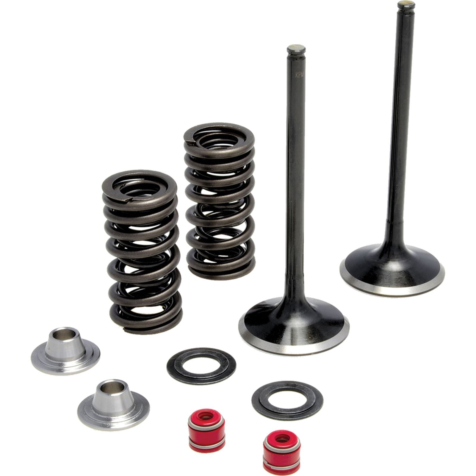 KPMI Intake Valve Spring Kit [MPN: 40-40350]_297059