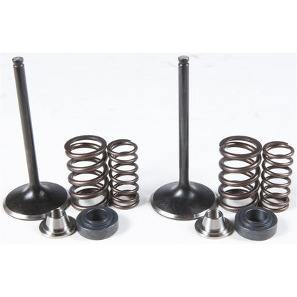 KPMI Intake Valve/Spring Kit Stainless Steel [MPN: 80-81100]_297074