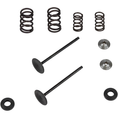 KPMI Intake Valve/Spring Kit Stainless Steel [MPN: 96-96450]_407276