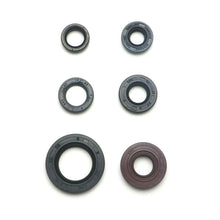 2FastMoto ATV Engine Oil Seal Kit - 6-Pieces for Honda TRX300X, TRX300EX 22-60300_632410