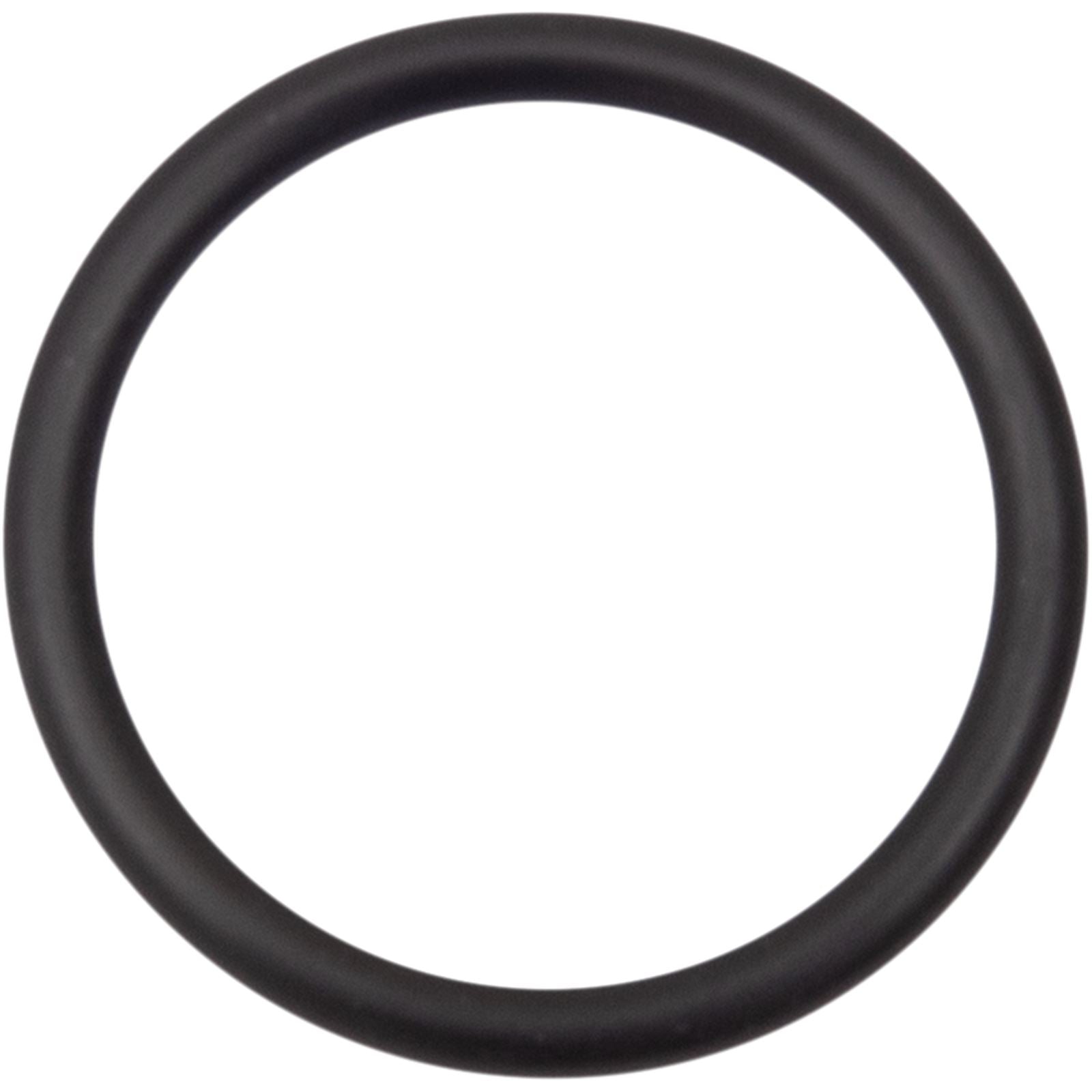 Starter O-Ring - Street 500/750_1046190