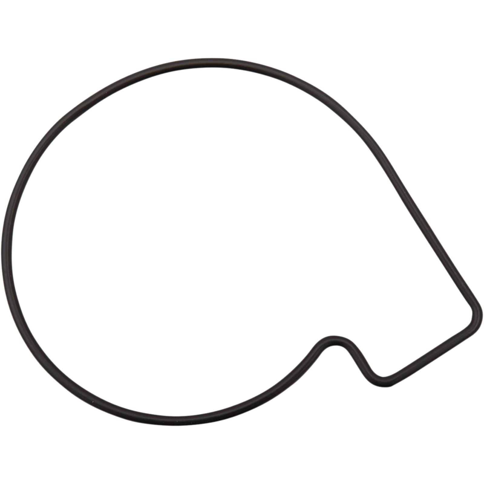 James Gaskets Water Pump Body Seal [MPN: ST-26600017]_1046250