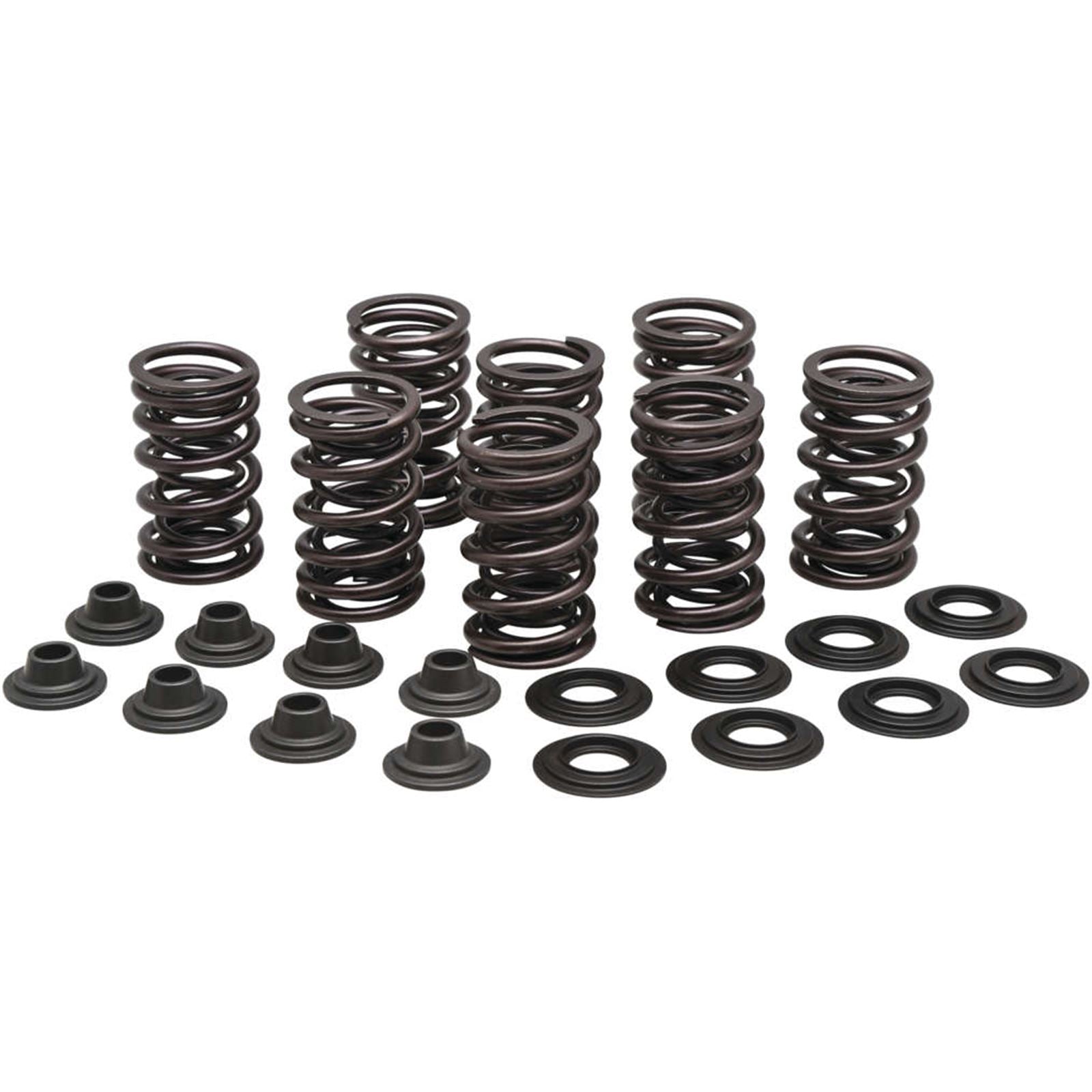 KPMI Valve Spring Kit [MPN: 82-83350]_995470