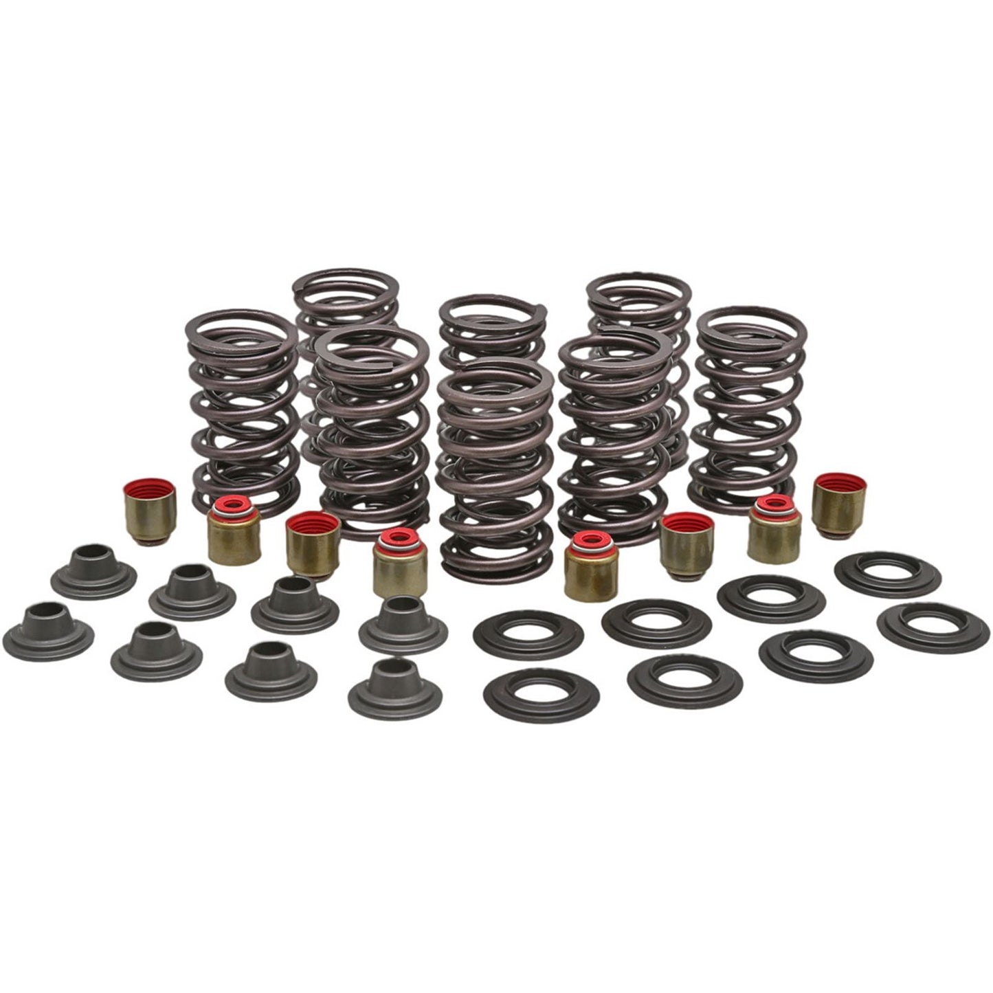 KPMI Valve Spring Kit [MPN: 82-83450]_614344