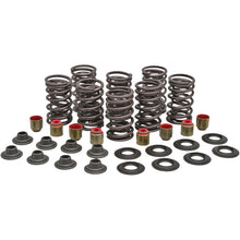 KPMI Valve Spring Kit [MPN: 82-83450]_614344