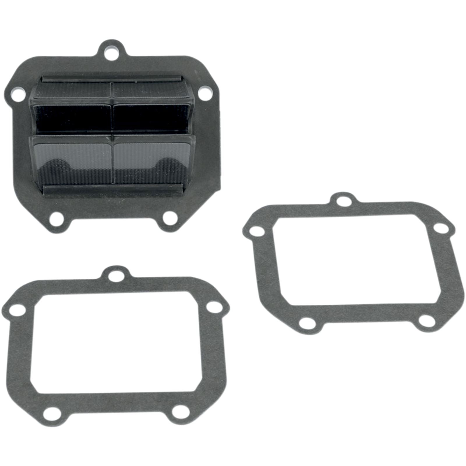 Moto Tassinari V-Force 3 Valve System for KTM [MPN: V306A-M]_503435