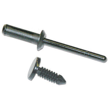 Starting Line Products 10 Pack 3/16" Plastic Rivet [MPN: 14-228]_604469