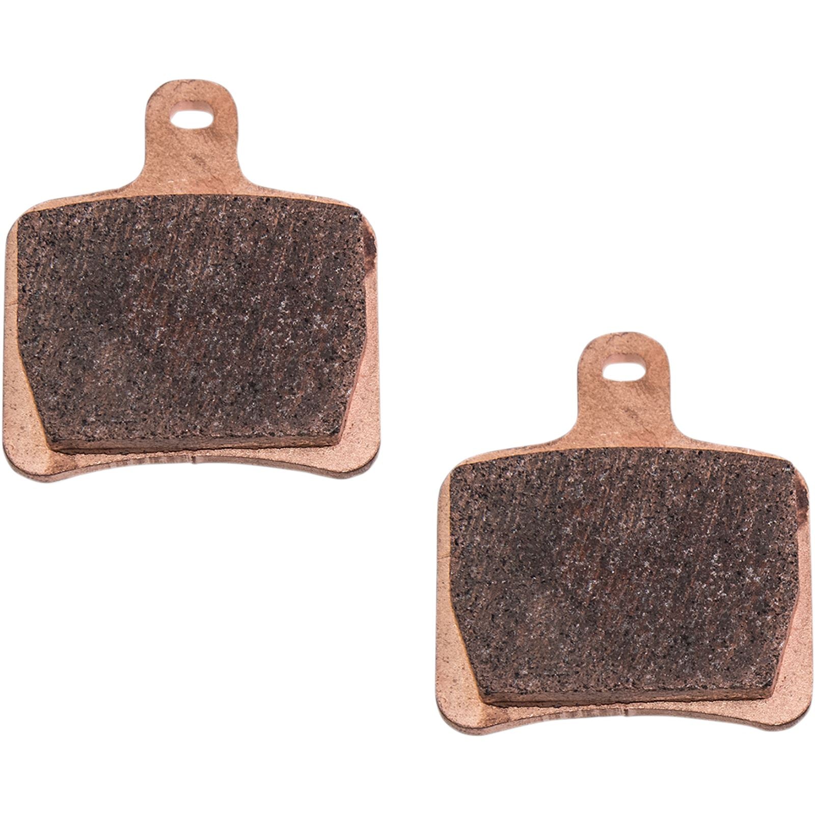 Starting Line Products Brake Pad for Polaris AXYS/RMK/SKS/Assault - Pair [MPN: 27-99]_475932