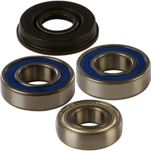 All Balls Chain Case Bearing & Seal Kit 14-1018_308117