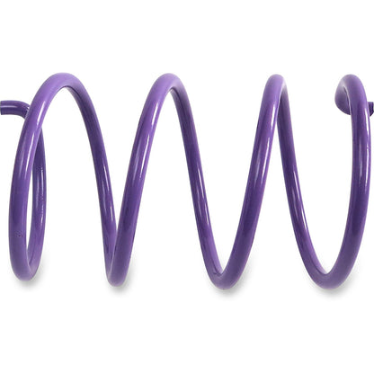 EPI Spring- Driven Clutch Cat Purple ACSS-5_383007