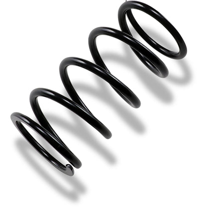 EPI Primary Clutch Spring Black PS-4_383069