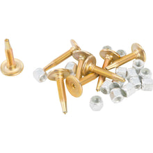 Woodys Gold Digger Carbide Traction Master Stud 1.450" - 96/Pack GDP6-1450-BS_314820
