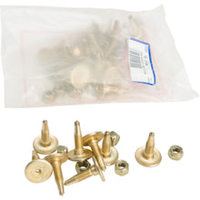 Woodys Gold Digger Carbide Traction Master Stud 1.000" - 24/Pack GDP6-1005_314824