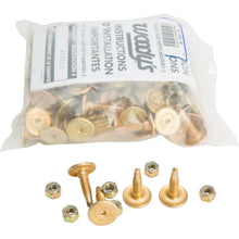 Woodys Gold Digger Carbide Traction Master Stud 1.075" - 96/Pack GDP6-1075-B_314829