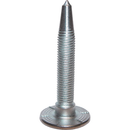 Woodys Race Studs 1.86" - 24/Pack RACE-1860-L_314846