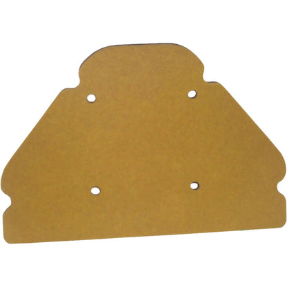 Hiflofiltro Air Filter [MPN: HFA2914]_316223
