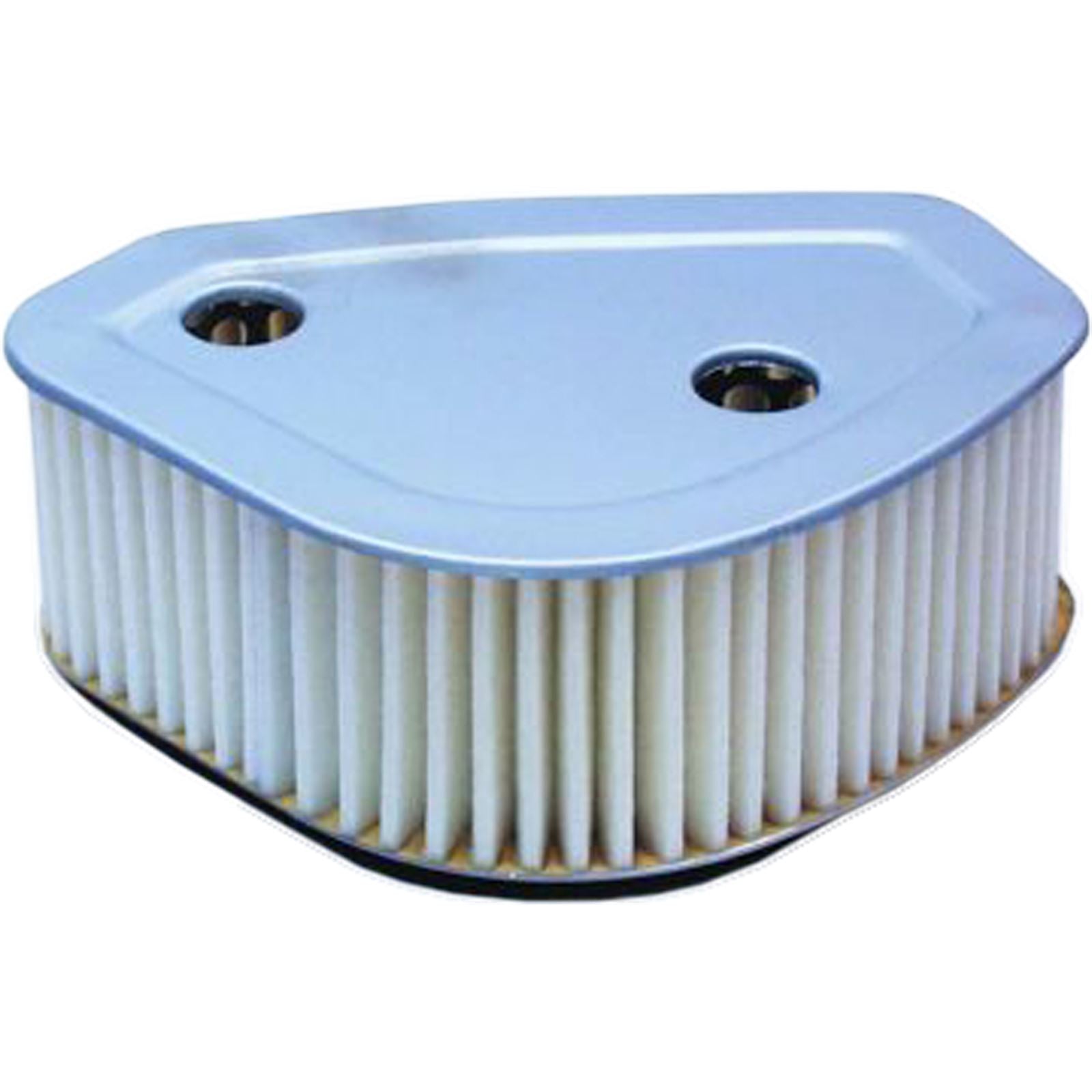 Hiflofiltro Air Filter [MPN: HFA4703]_316321