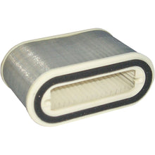 Hiflofiltro Air Filter [MPN: HFA4910]_316337