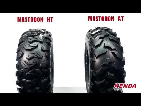 SHOPIFYEXTERNAL_VIDEO_146473