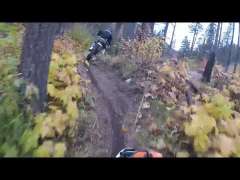 SHOPIFYEXTERNAL_VIDEO_166043